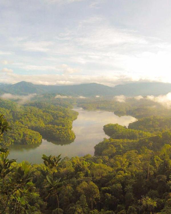 বেবি গার্ল ফ্লোরাল ফ্রক